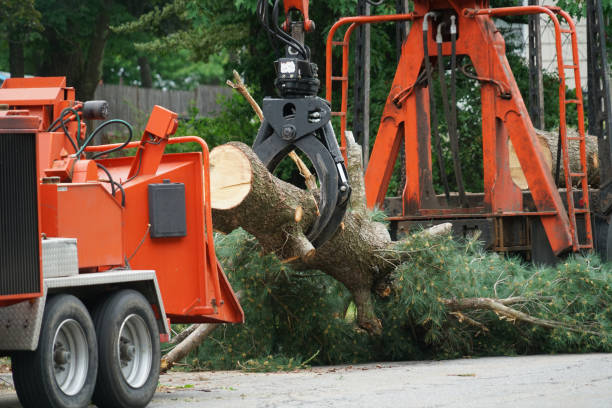 Mulching Services in Fuller Heights, FL